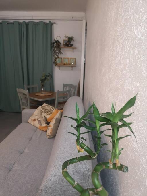 Apartment Le Bohemien Hyper Centre 5' Train Station